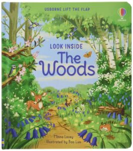 Look Inside The Woods