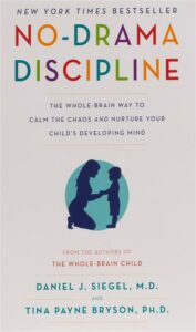 No Drama Discipline