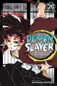 Demon Slayer Kimetsu no Yaiba