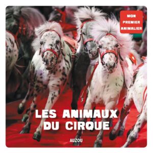 Du Cirque