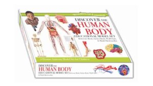 The Human Body