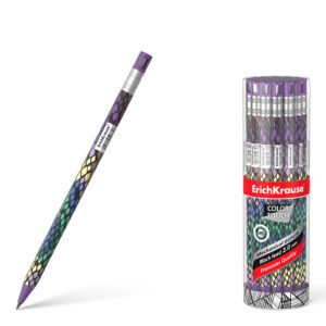 Box of 24 Mechanical pencil Co