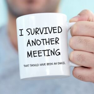I Survived Another Meeting Fun