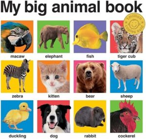 My Big Animal Book
