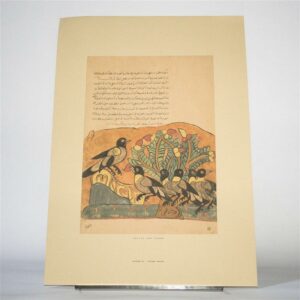 Poster S