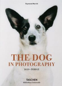 The Dog in Photography: 1839-Today