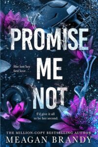 Boys of Avix 2: Promise Me Not