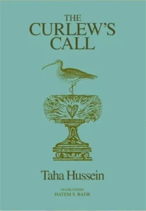 The Curlew's call