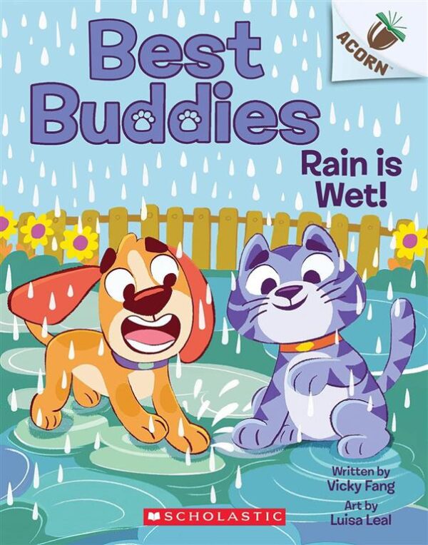 Rain Is Wet!