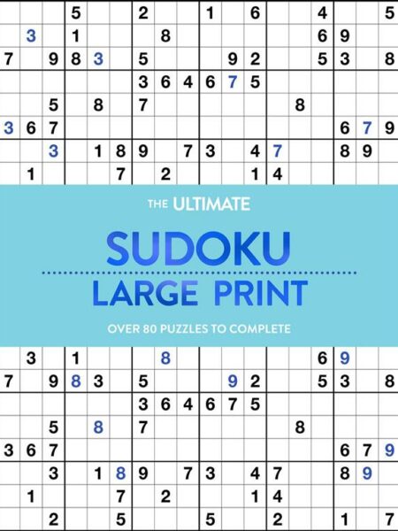 Large Print Puzzle Book: Sudoku :Aqua